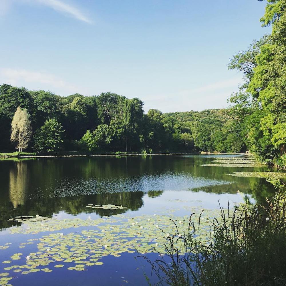 les etangs de corot lac balade paris forêt
